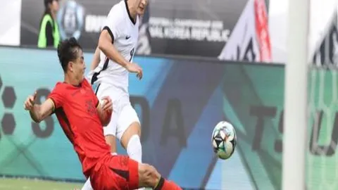 开云平台网站品牌大使皮耶罗 资讯 102841 gdr