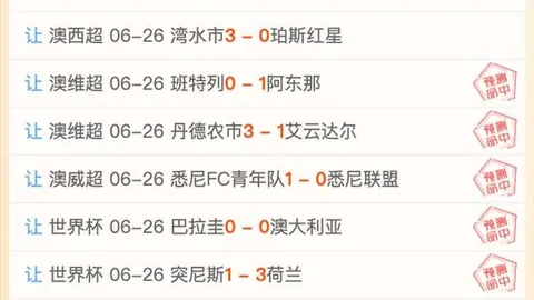 开云平台网站品牌大使皮耶罗 135319 997